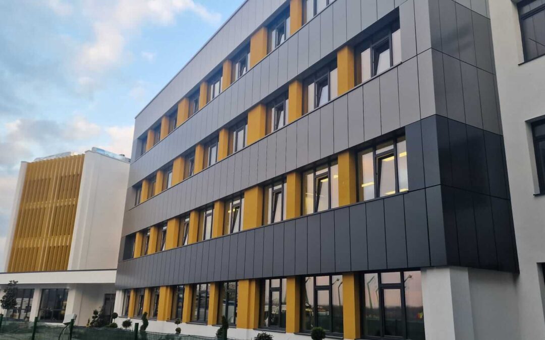 Complex scolar, Arad