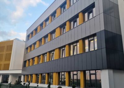 Complex scolar, Arad